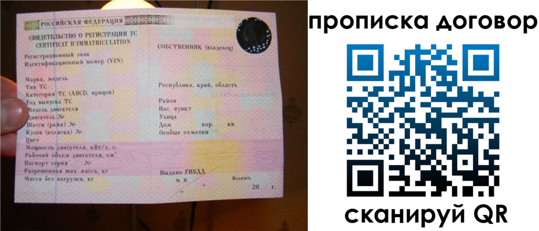 временная регистрация поиск в Щиграх